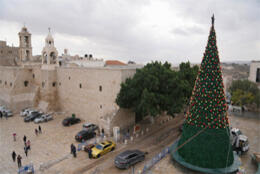 Huge Christmas tree stands in Bethlehem in 2025 